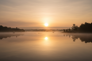 Be Still and Know — Finding Peace in Psalm 46:10
