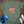 JESUS IS KING T-SHIRT